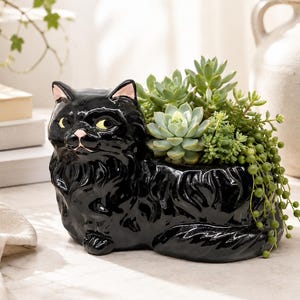 Op de afbeelding: Een glanzende zwarte keramieken plantenbak in de vorm van een kat, met een gebeeldhouwde katachtige met gele ogen en roze oortjes. De plantenbak bevat diverse groene vetplanten, waaronder een rozetvormige echeveria en een erwtenplant.