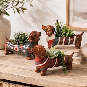 May include: Three ceramic dachshund-shaped planters, each featuring a unique pattern. One has orange and white circles on a dark grey base, another has red and white stripes, and the third has a red, white, and blue striped design, all holding succulents.