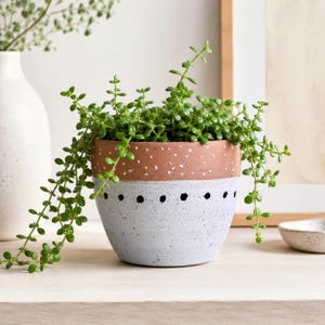 Könnte beinhalten: Ein runder Keramik-Pflanztopf mit zweifarbigem Design, bestehend aus einem terrakottafarbenen oberen Bereich mit weißen Sprenkeln und einem hellgrauen unteren Bereich. Eine horizontale Reihe kleiner, runder Aussparungen verläuft mittig.