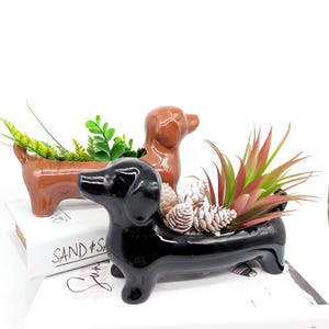 Black Brown Dachshund Sausage Dog Planter Pot | Dachshund Lovers Gifts
