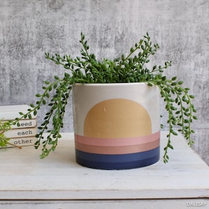 May include: A white ceramic planter with a sunset design in shades of yellow, pink, and blue. The planter is filled with a green succulent plant.