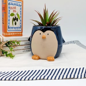 Blue Penguin Ceramic Flower Pot | Planter for Herbs, Succulents, Plants