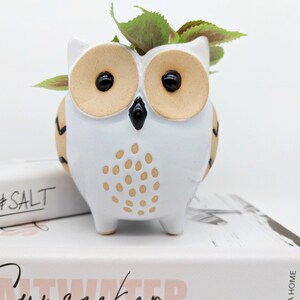 Liberate Indoor Pot - Black Owls