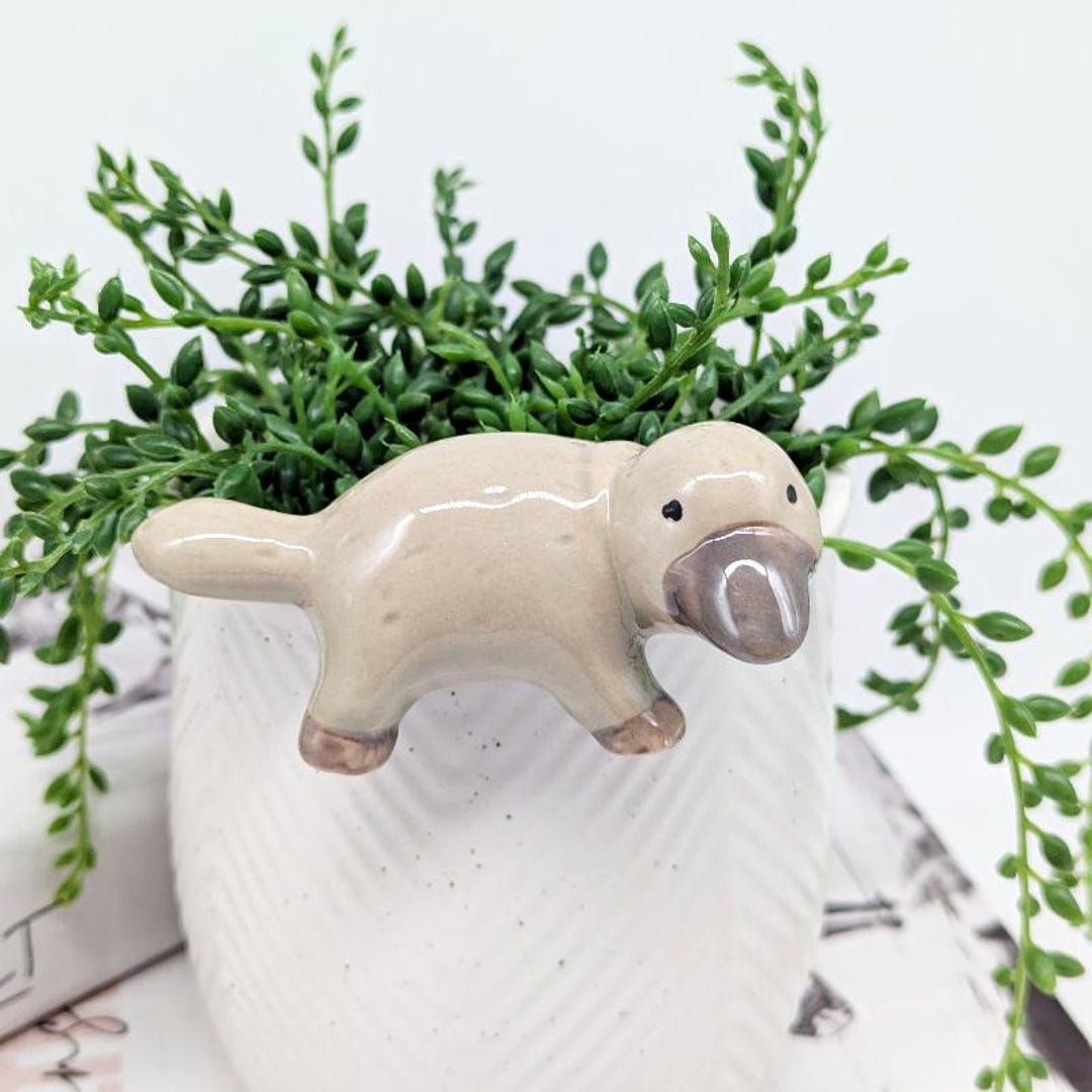 カモノハシのポットハンガーシッター - Etsy 日本