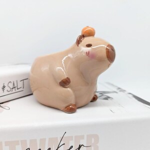 Capibara keramische plantenbak | Capibara-cadeaus | Dierenplanter | Vetplantenbak afbeelding 5