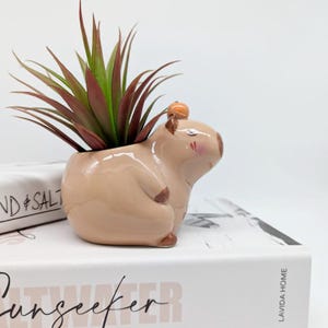 Capibara keramische plantenbak | Capibara-cadeaus | Dierenplanter | Vetplantenbak afbeelding 4