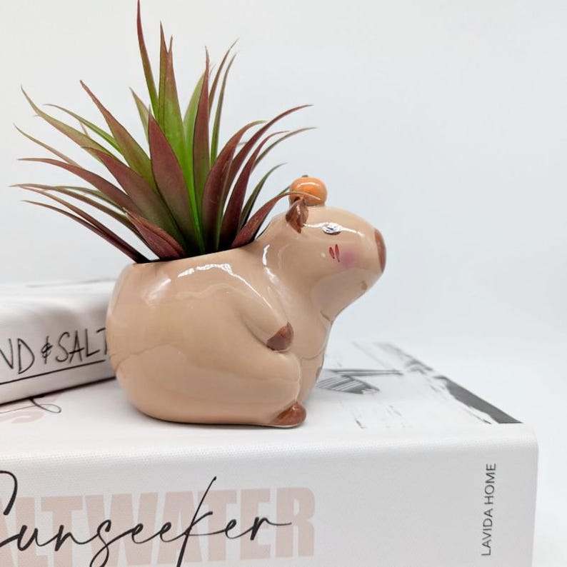 Capibara keramische plantenbak | Capibara-cadeaus | Dierenplanter | Vetplantenbak afbeelding 4