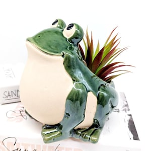 May include: A ceramic frog planter with a glossy green finish and a cream-colored belly. The frog has large, expressive eyes and holds a small succulent plant with red and green leaves. The planter is a decorative item for home or garden.