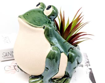 Smiling Green Frog Planter Pot