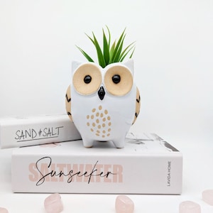 May include: White ceramic owl planter with black and brown details. The owl has large, round eyes and a small beak. A small green succulent plant is growing in the planter. The planter is sitting on top of two books, one with the text "SAND & SALT" and the other with the text "Sunseeker".