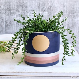 May include: A blue ceramic planter with a yellow circle and pink and brown stripes. The planter is filled with a green succulent plant.