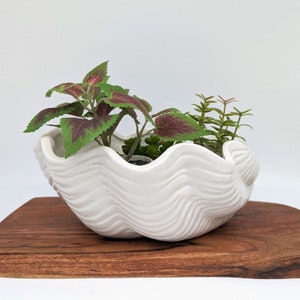 May include: White ceramic planter shaped like a seashell with wavy edges. The planter is filled with green and purple foliage.
