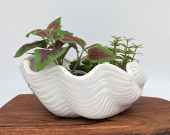 White Ceramic Shell Planter Pot: Coastal Decor, Herb & Succulent Planter (23cm)