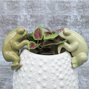 Może przedstawiać: Dwie zielone ceramiczne żaby usadowione na krawędzi białej ceramicznej doniczki o fakturowanej powierzchni. Doniczka jest wypełniona zielonymi i fioletowymi liśćmi.