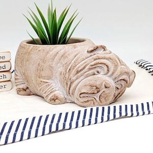 May include: A tan-colored, bulldog-shaped planter with a distressed finish. The planter holds a green, spiky plant. The bulldog has detailed wrinkles and a relaxed pose. The planter sits on a white surface with a blue and white striped border.