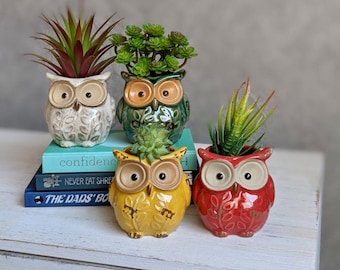 Colourful Owl Ceramic Pot Planter  | Owls | Owl Planter | Planters | Animal Planters | Succulent Planter | Planter Set | Cute Pots