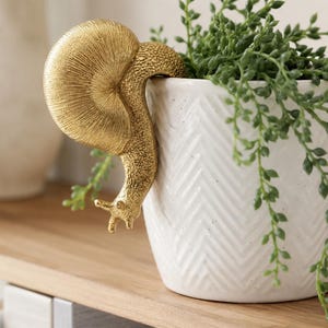 May include: A gold-coloured snail figurine with a textured shell and body, designed to hook onto the rim of a white ceramic planter. The planter features a raised herringbone pattern and contains a trailing green succulent plant.