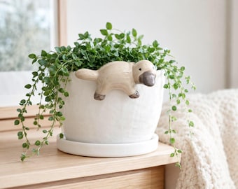 Puede incluir: Una maceta de cerámica blanca con superficie texturizada y plato a juego. Una pequeña figura esculpida de ornitorrinco, de color marrón claro, está sujeta al borde de la maceta. Una planta verde colgante crece desde el recipiente blanco.