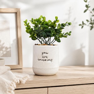 May include: A white ceramic planter with a speckled finish and the black text "you are amazing" printed on the front. The planter contains a small, green artificial plant with rounded leaves, and the soil surface is covered with small brown pebbles.