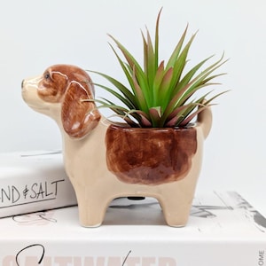 Könnte beinhalten: Ein Keramik-Pflanztopf in Form eines braunen und weißen Hundes mit einer grünen Sukkulentenpflanze im Inneren. Der Topf hat einen braunen Fleck auf dem Rücken.