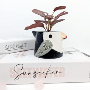 May include: A ceramic bird-shaped planter in black, white, and grey, holding a small plant with burgundy leaves. The planter has a beak and wing design. The planter is sitting on a white book with the word "Sunseeker" on it.