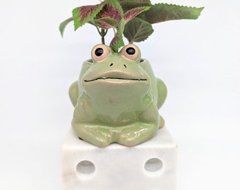 Green Ceramic Frog Planter Pot | Quirky Home Decor