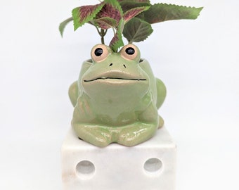 Green Frog Planter Pot, 12cm | Frog Gifts | Succulent Planter | Quirky Pot | Frog Decor | Green Home Decor | Indoor Planter | Pot for Plants