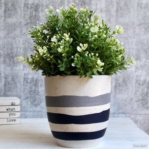 May include: A white ceramic planter with blue and grey stripes. The planter is filled with a green plant with small white flowers.