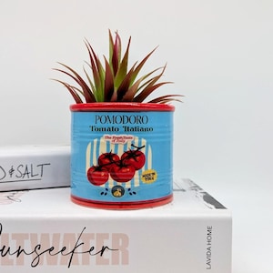 Może przedstawiać: Mała, niebieska ceramiczna doniczka z czerwonym obramowaniem, z ilustracją pomidora i napisem "POMODORO Tomato Italiano". Doniczka zawiera sztuczny sukulent z czerwonymi i zielonymi liśćmi. Wydrukowano również "Made in Italy".