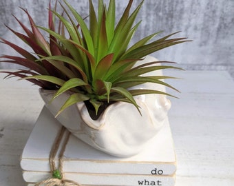 Ivory Shell Succulent Planter Pot