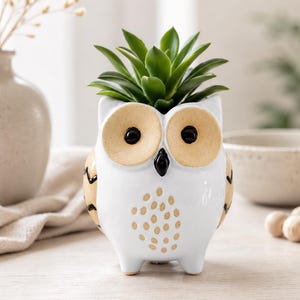 White Black Owl Flower Pot | Planter for Herbs, Succulents, Plants | Gardening Gifts