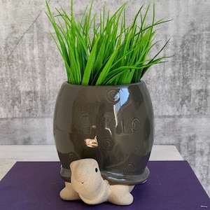 Grey Turtle Planter Pot, 12cm