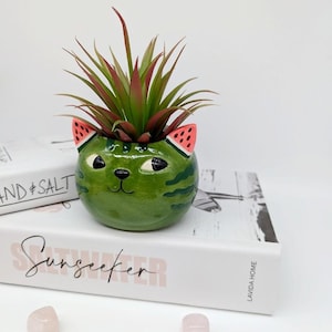 Maceta de cerámica con forma de gato y sandía: divertida maceta para suculentas imagen 1