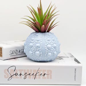 Può includere: Un vaso sferico in ceramica azzurra, con una superficie strutturata, simile a un riccio di mare, contiene una finta succulenta con foglie verdi e bordeaux. Il vaso è appoggiato su un libro bianco con la parola "Sunseeker" in corsivo.