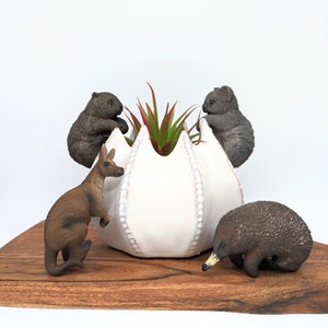 以下が含まれることがあります： 4枚の花びらを持つ花の形をした白いセラミック製のプランター。プランターの周りに、小さなカンガルー、ウォンバット、エキドナ、コアラが配置されています。