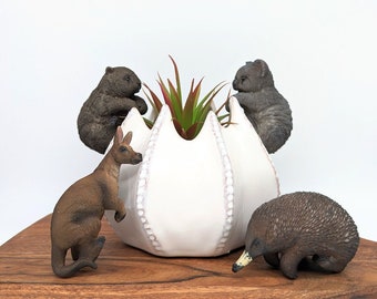Resin Aussie Animal Pot Sitter: Kangaroo, Koala, Wombat, Echidna