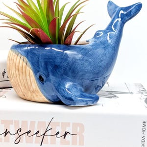 May include: A blue ceramic whale planter with a succulent plant. The whale has a detailed design with a beige belly and a blue body. The plant has green and red leaves.
