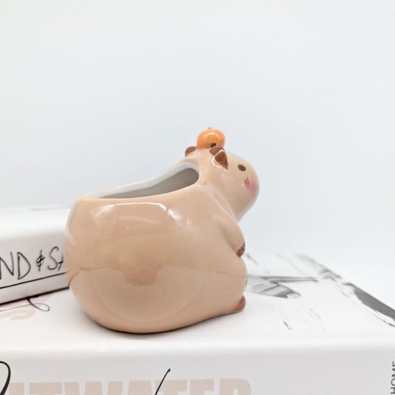 Capibara keramische plantenbak | Capibara-cadeaus | Dierenplanter | Vetplantenbak afbeelding 7