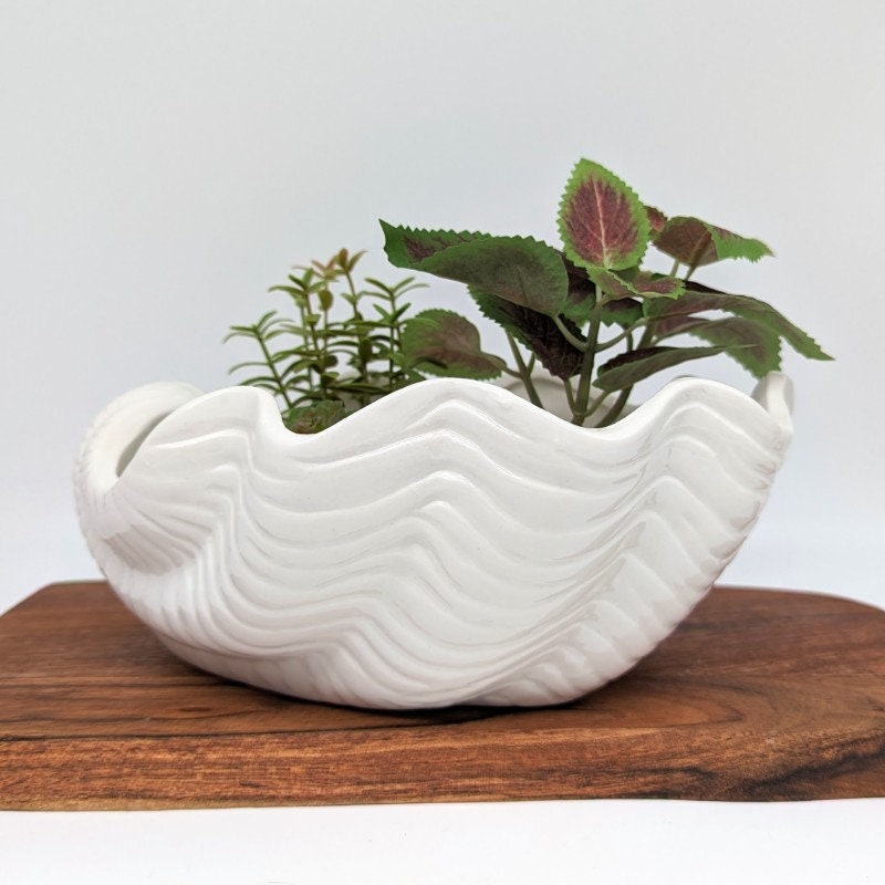 White Ceramic Shell Planter Pot: Coastal Decor, Herb & Succulent ...