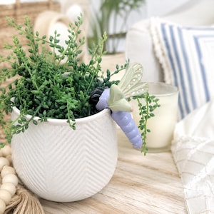 May include: A white ceramic planter with a chevron texture containing a green succulent plant. A decorative ceramic dragonfly ornament with a black head, light purple body, and pale green wings is perched on the rim of the round planter.
