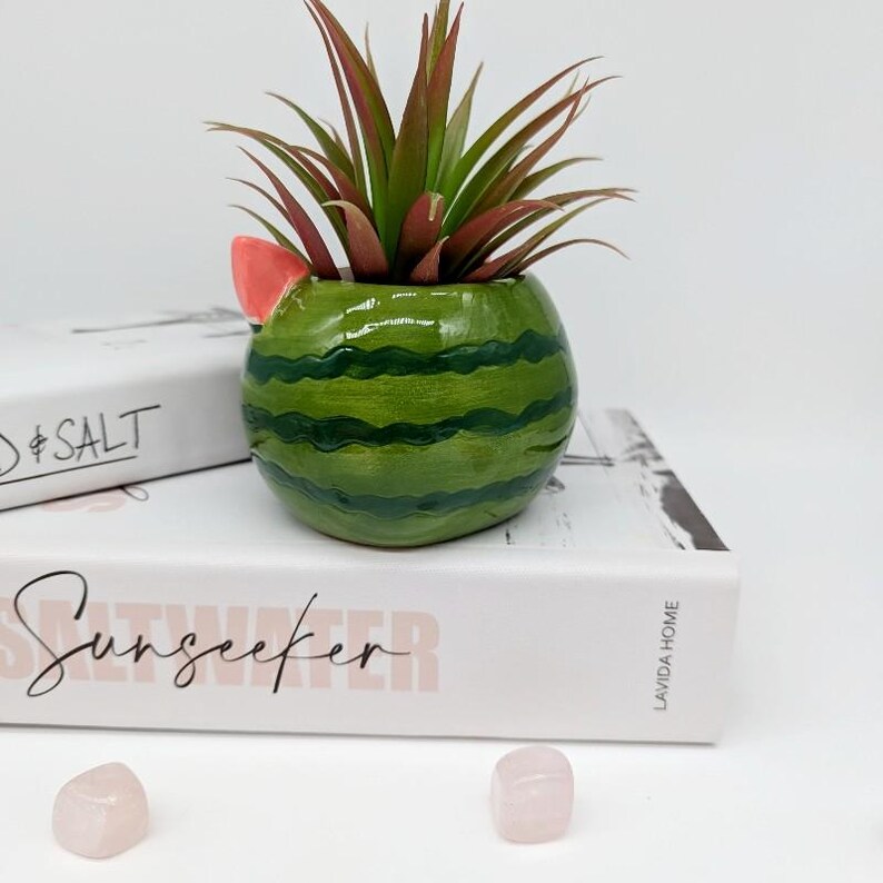 Maceta de cerámica con forma de gato y sandía: divertida maceta para suculentas imagen 8