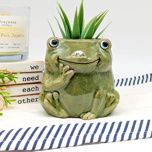 Peut inclure: Un pot de fleur en céramique verte en forme de grenouille souriante avec des yeux bleus, tenant son menton. Le pot est rempli de fausses plantes vertes et épineuses. Les mots "we need each other" sont visibles sur une pile de livres.