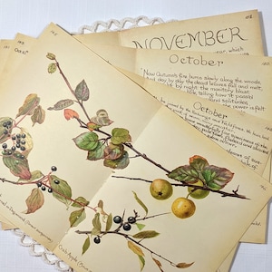 Październik Edith Holden Vintage Book Pages Pack Wiejski pamiętnik edwardiańskiej damy Notatki o naturze Ephemera Kolaż Materiały Junk Journal