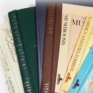 Vintage Book Covers: Recycled Boards for Junk Journals & Crafts