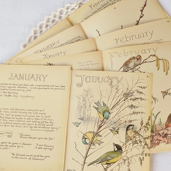 January - February Edith Holden Vintage Book Pages Pack The Country Diary of an Edwardian Lady Ephemera Collage Supplies Junk Journal Craft