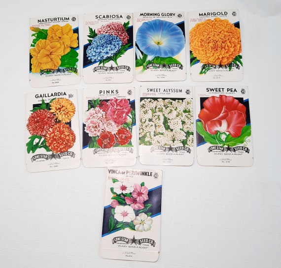 4 Vintage 1930s Unused Flower Seed Packets from Crosman Seed