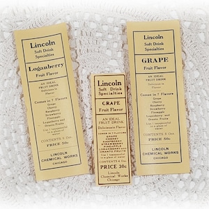 1 set di 3 etichette vintage al sapore di frutta per bevande analcoliche Chicago Authentic Soda Fountain Ephemera Junk Journal Collage Paper Pack