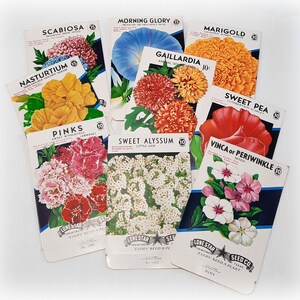 9 Vintage Flower Seed Packets Texas Empty All Different Pack Authentic Ephemera Junk Journal Collage Craft Garden Wedding Party