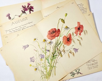 May include: A vintage illustration of a bouquet of red poppies, white daisies, and purple bellflowers. The illustration is on a cream-colored paper with the text "August" and a poem about the month.