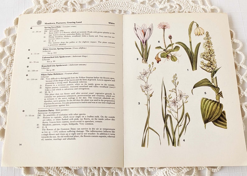 16 Vintage Wild Flower Book Pages Botanical Floral Ephemera Pack Nature Field Guide Junk Journal Planner Collage Supplies Mixed Media Craft image 2